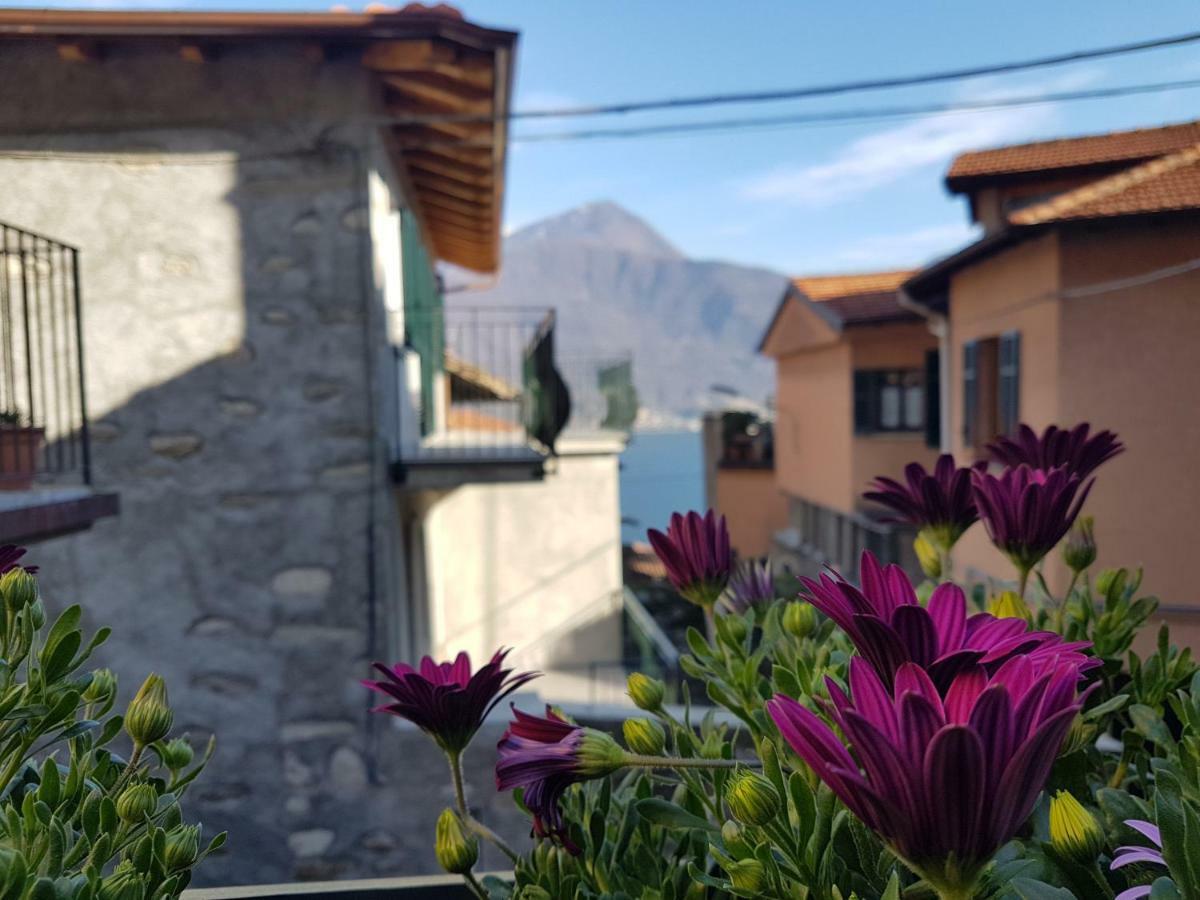 Il Torchio Villa Musso Exterior foto